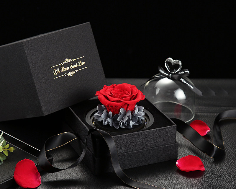 Preserved rose in glass cover