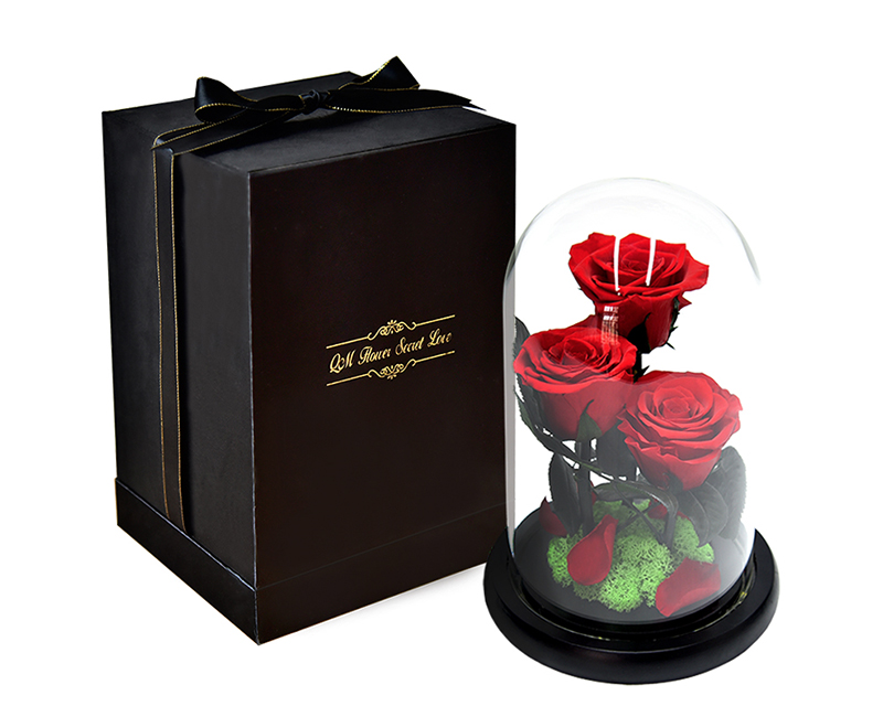 Preserved Rose In Glass