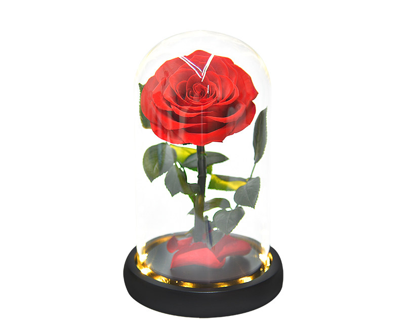 Preserved Rose In Glass