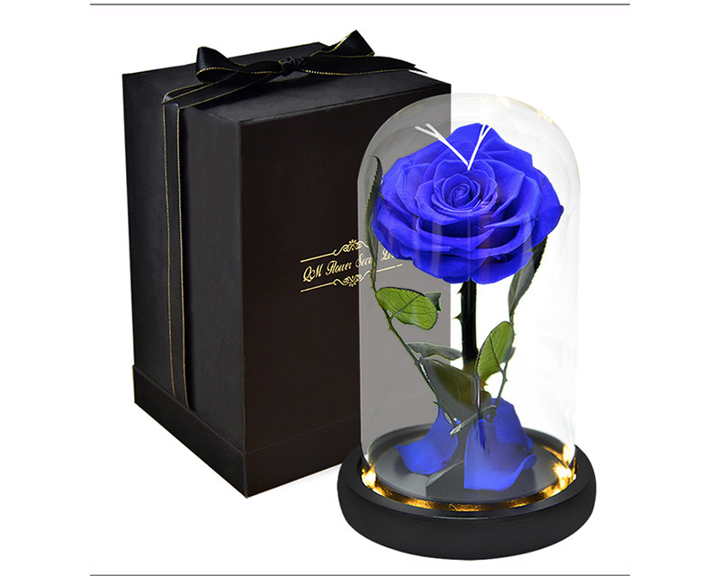 Preserved Rose In Glass