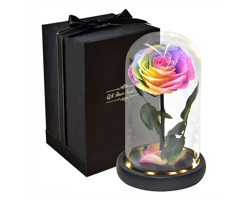 Preserved Rose In Glass