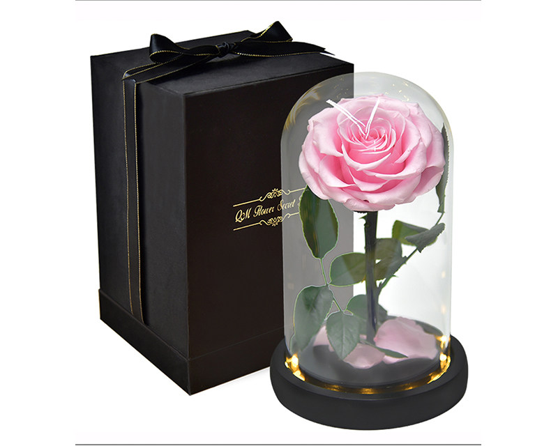 Preserved Rose In Glass