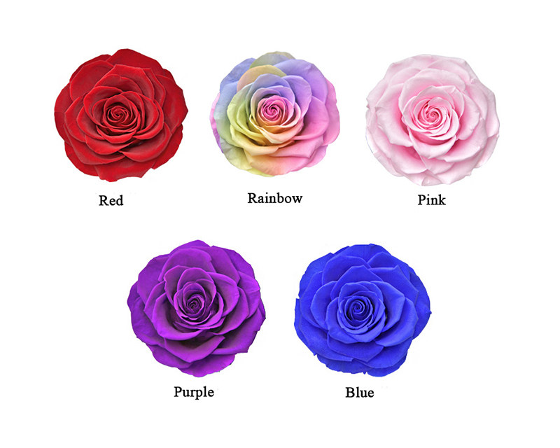 Preserved Rose In Glass