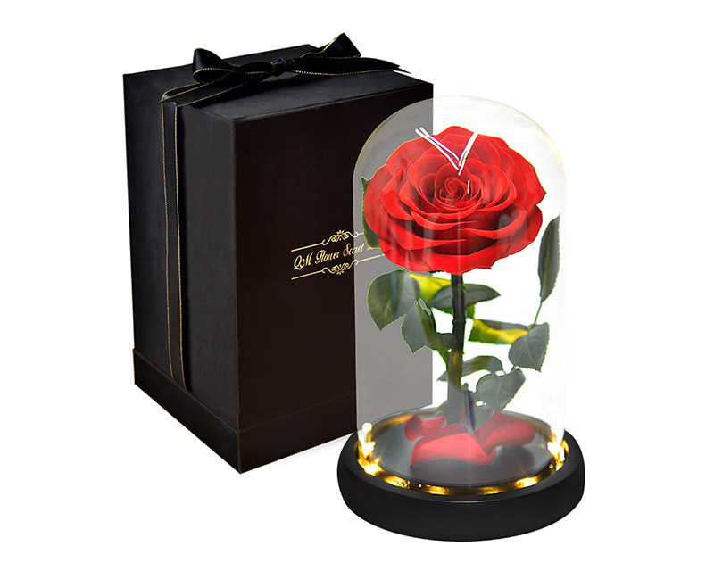 Preserved Rose In Glass
