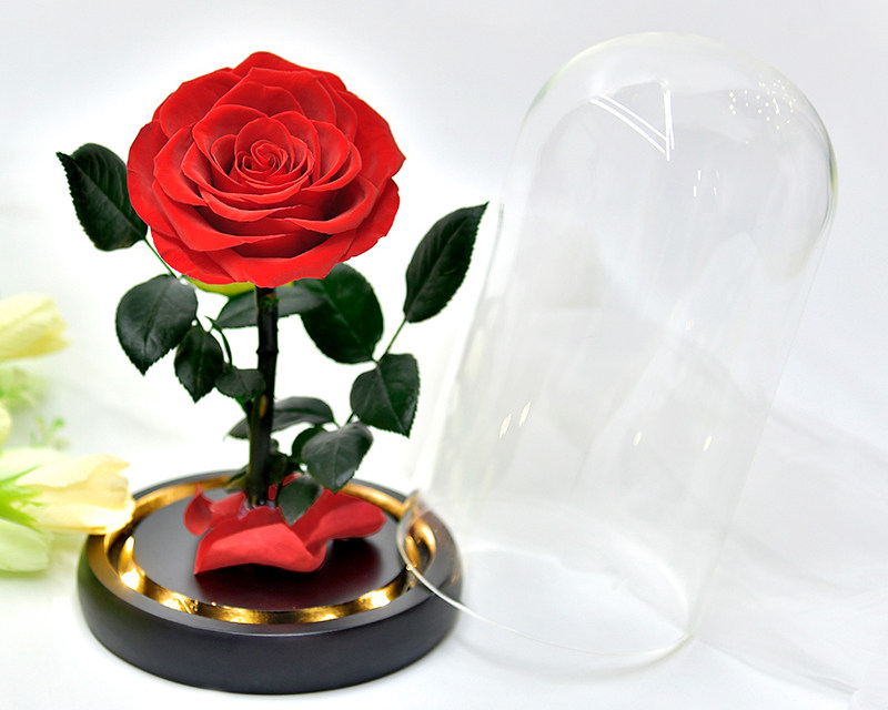 Preserved Rose In Glass