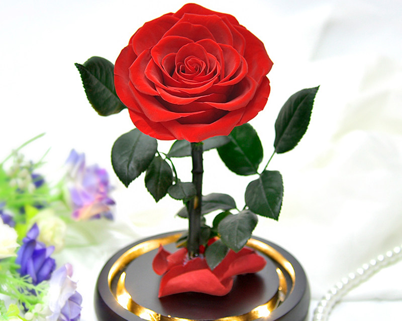 Preserved Rose In Glass