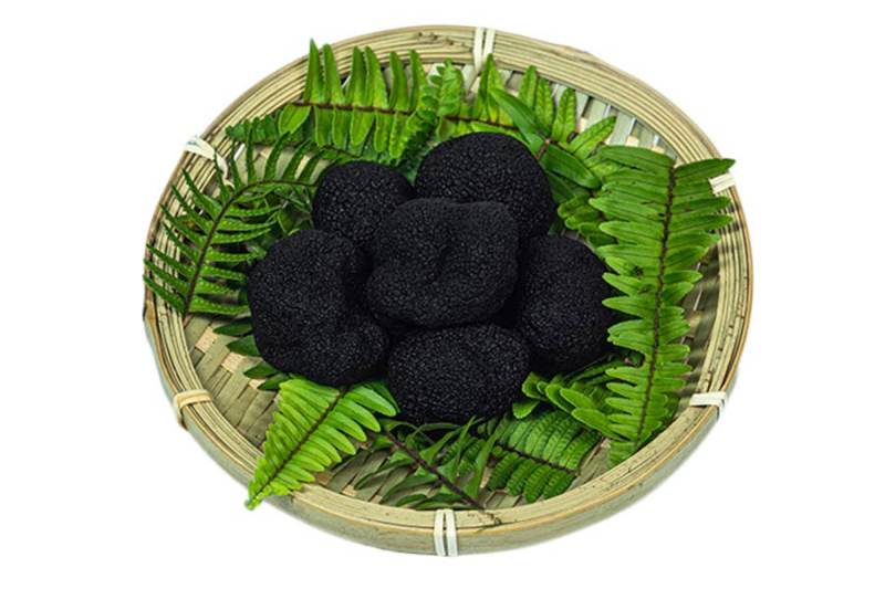 Quick-Frozen Black Truffle