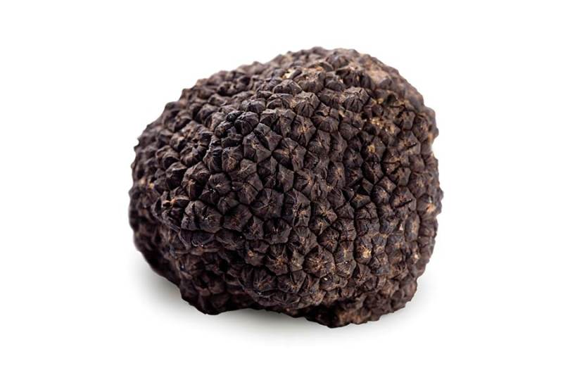 Quick-Frozen Black Truffle