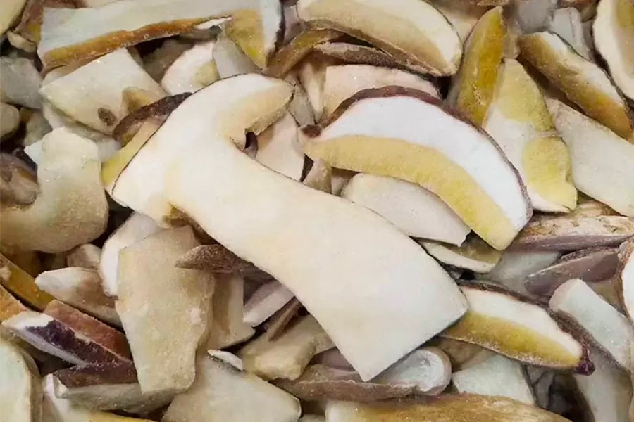 Frozen Boletus Edulis