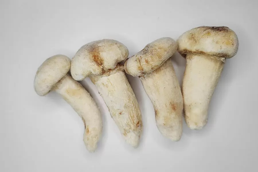 Quick-Frozen Matsutake Mushroom Over 9cm