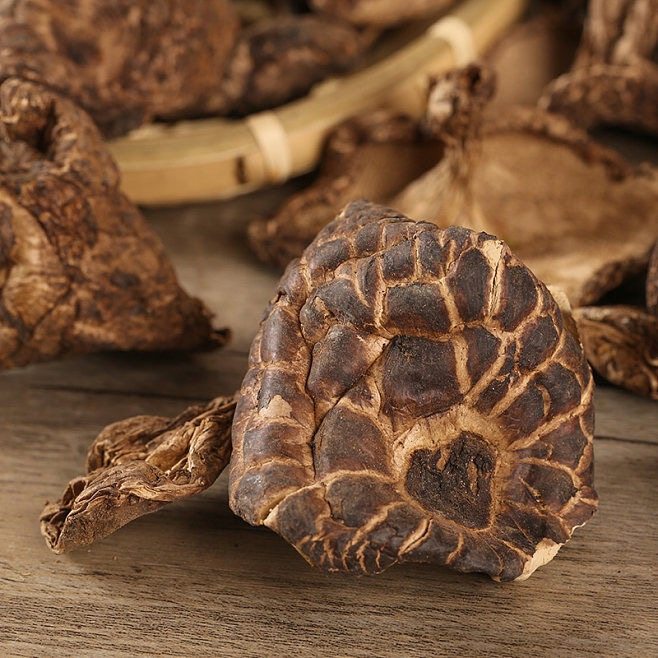 Dried Sarcodon Aspratus Mushrooms