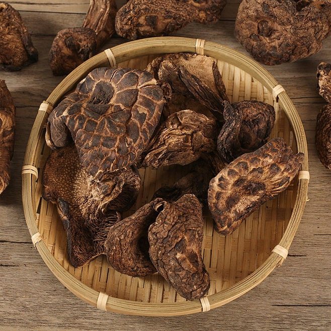 Dried Sarcodon Aspratus Mushrooms