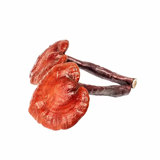 Dried Red Reishi Mushrooms