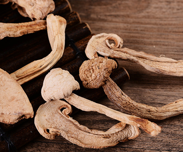Dried Matsutake Mushroom