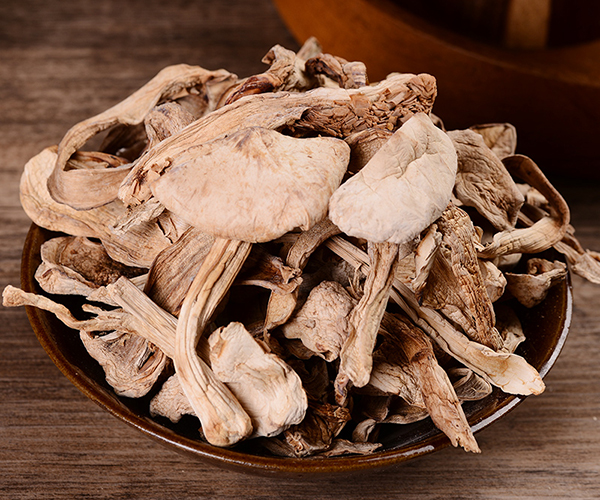 Dried Matsutake Mushroom