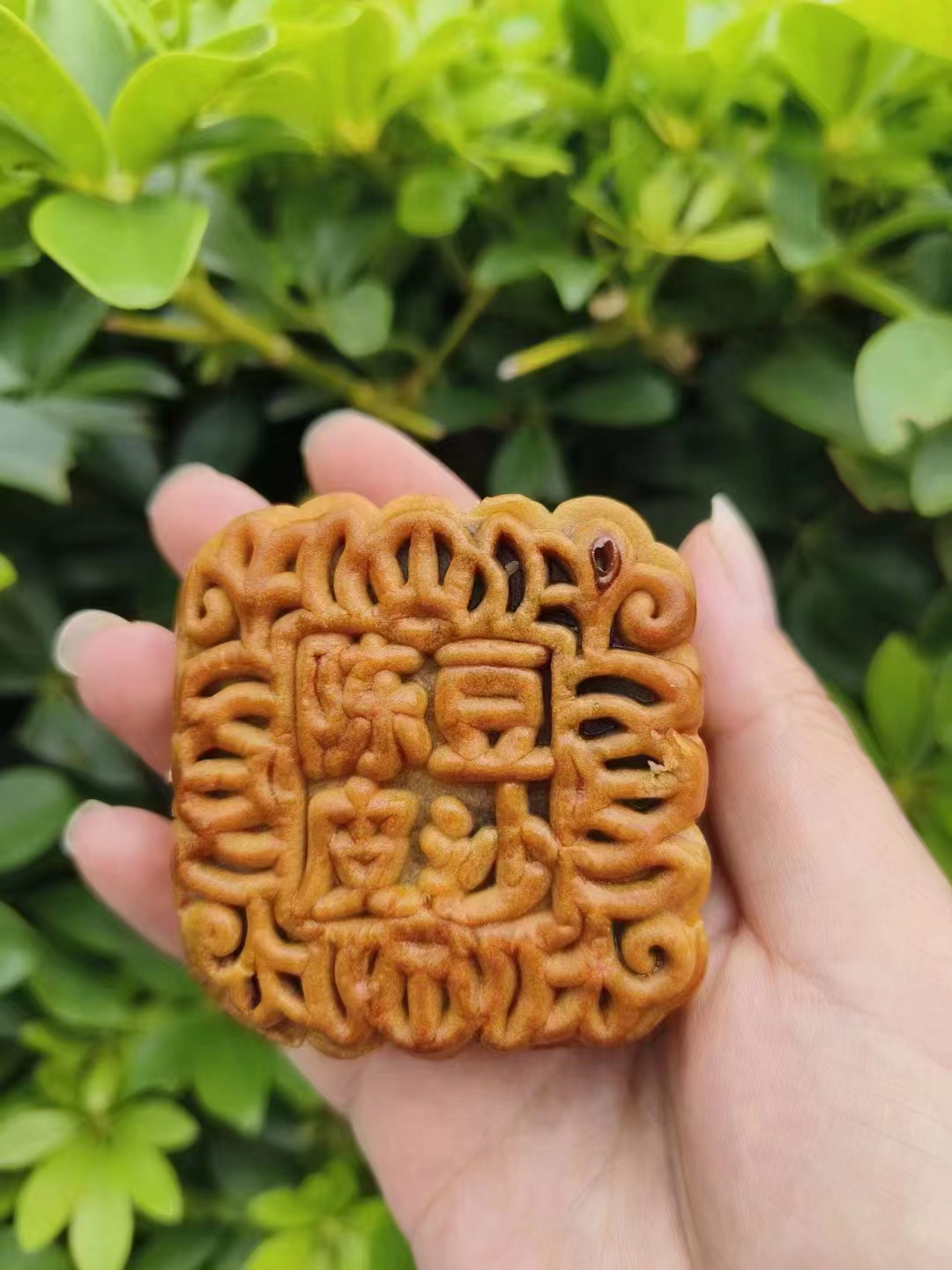 双合莲蓉月饼