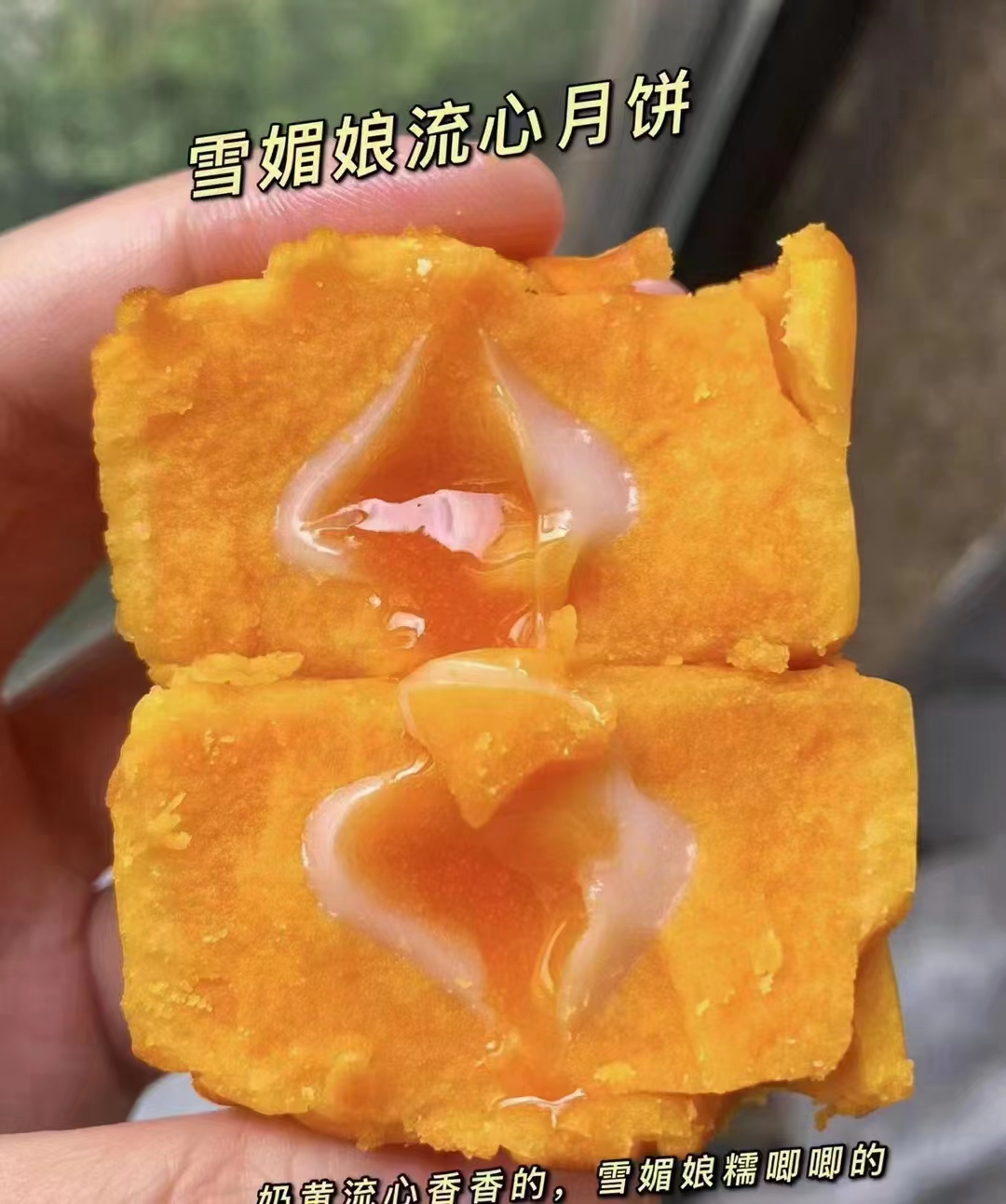 豪华至尊孖宝月