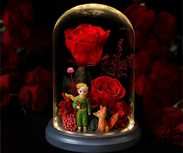 永生花小王子玫瑰