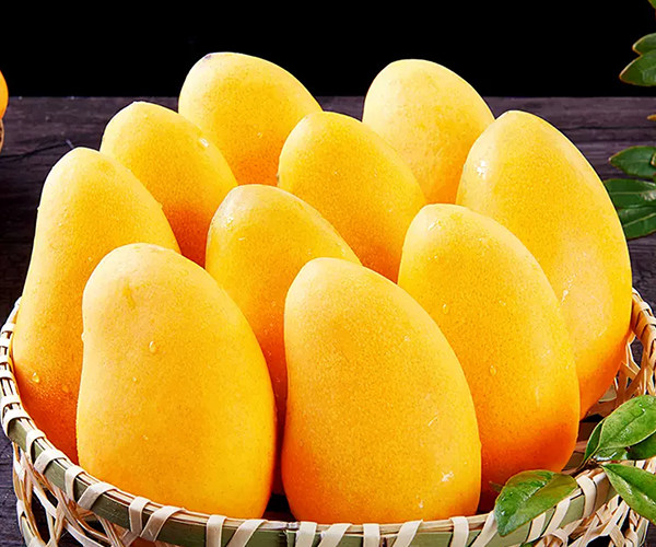 云南小台农芒果