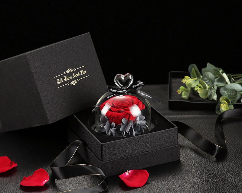 玻璃罩内的永生玫瑰