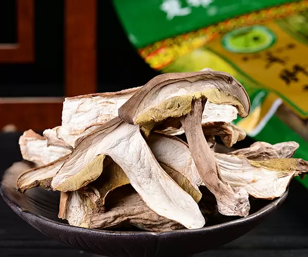牛肝菌