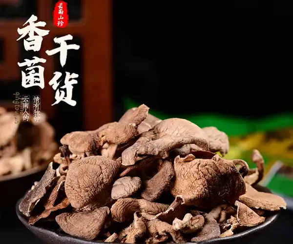 香菌