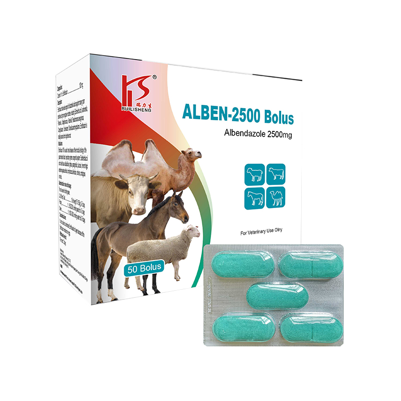 Amoxicillin Injection 10%