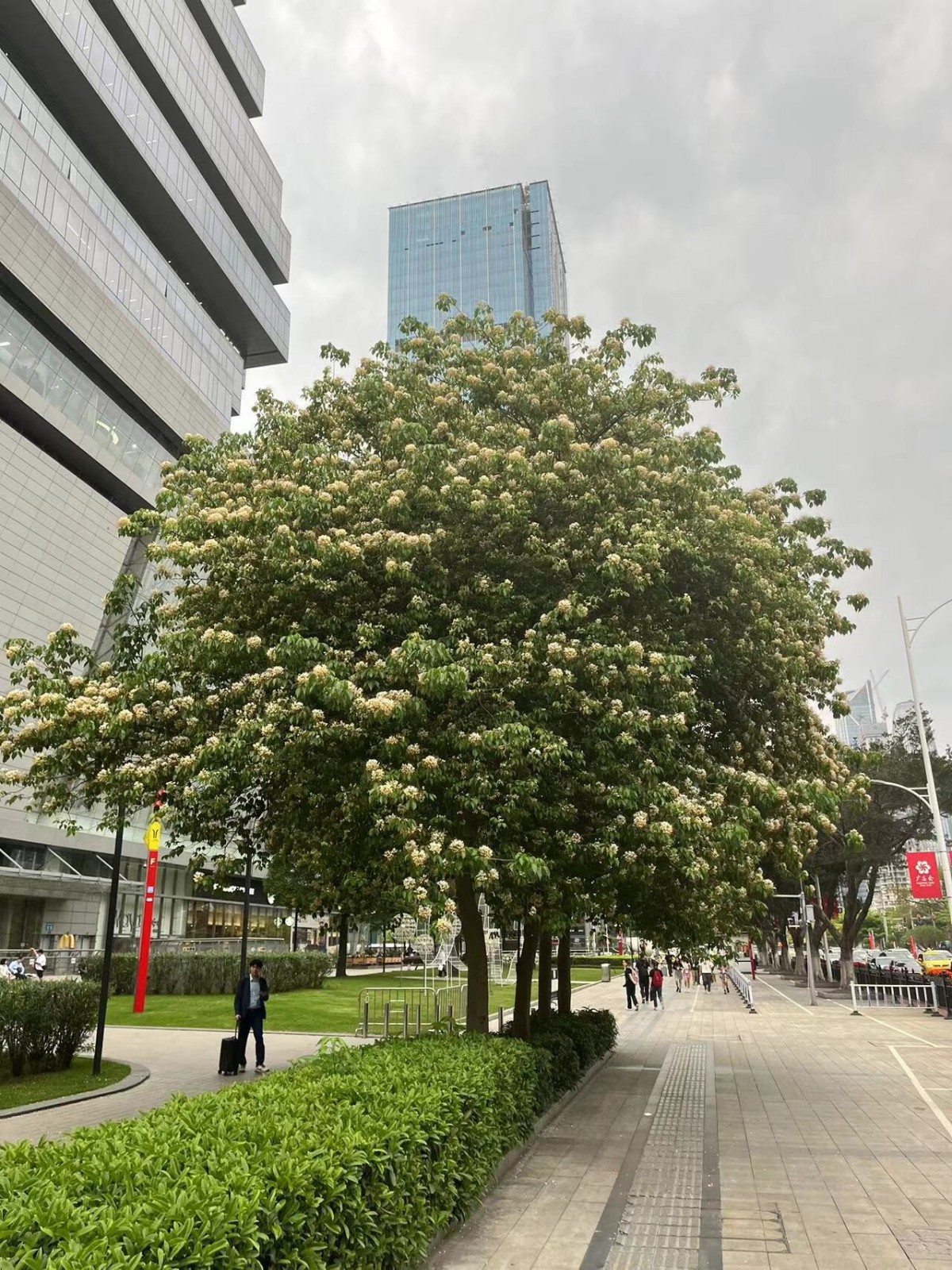 微信图片_20240909105842.jpg 微信图片_20240909105842.jpg