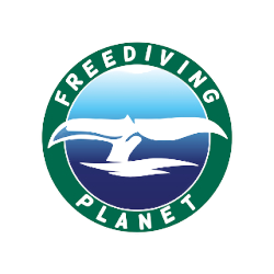 簡化您的業務管理 | 自由潛水星球帶您探索 Zoho Inventory 軟件