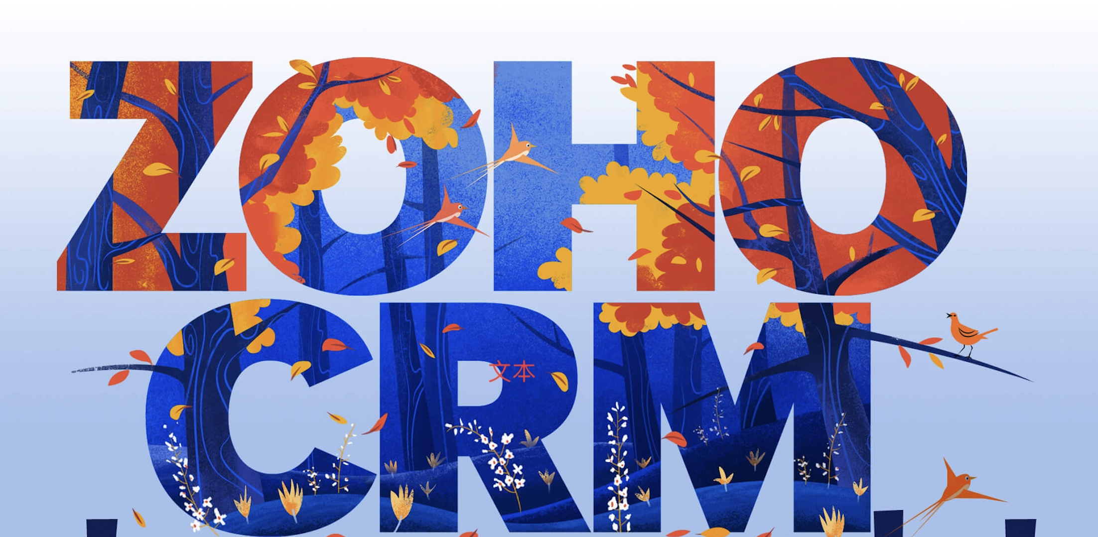 Zoho CRM定製的力量｜優化業務流程