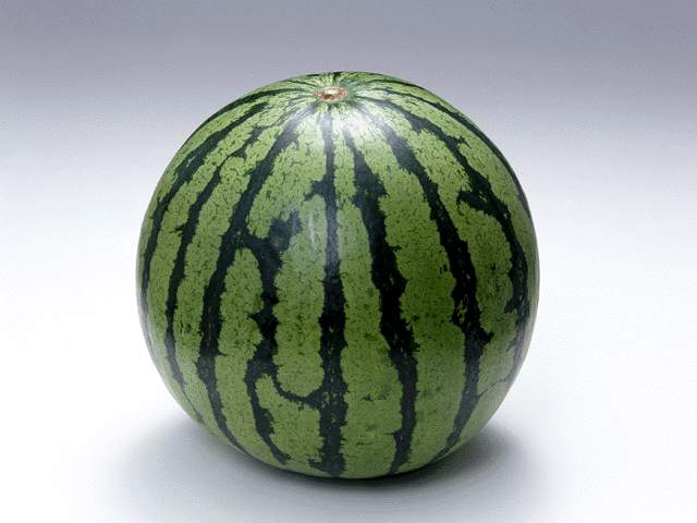 西瓜