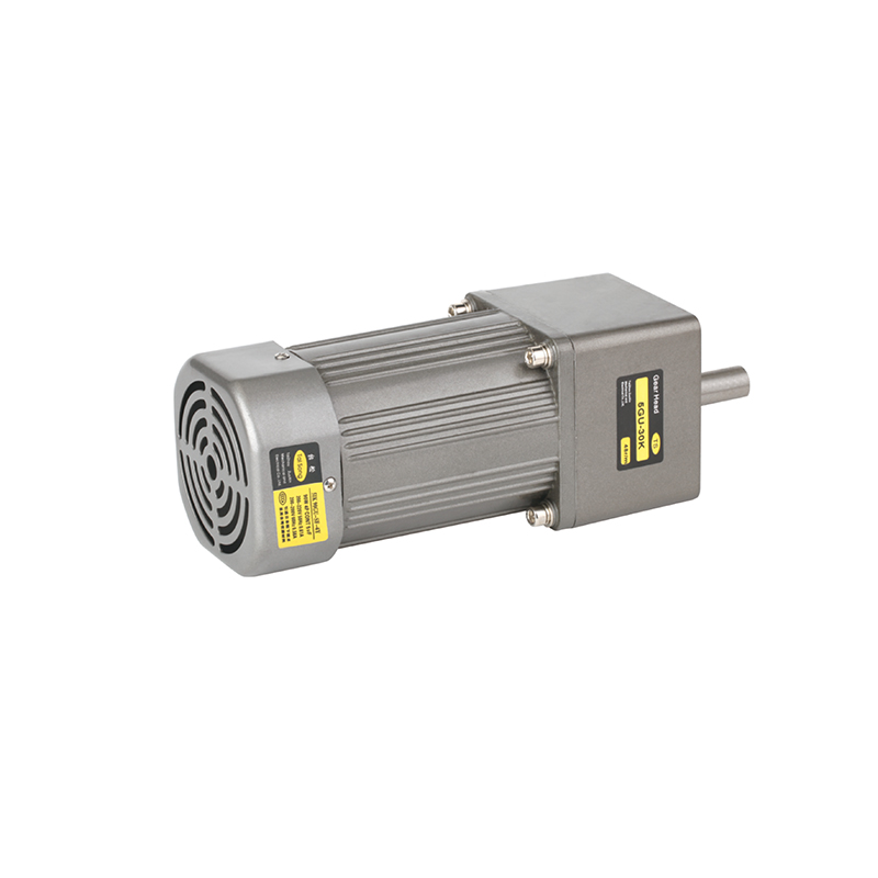 Micro AC gear reduction motor 120w