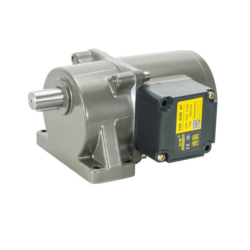 GH horizontal micro reduction motor