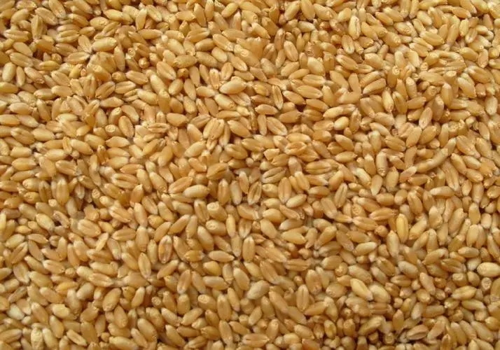 小麦
