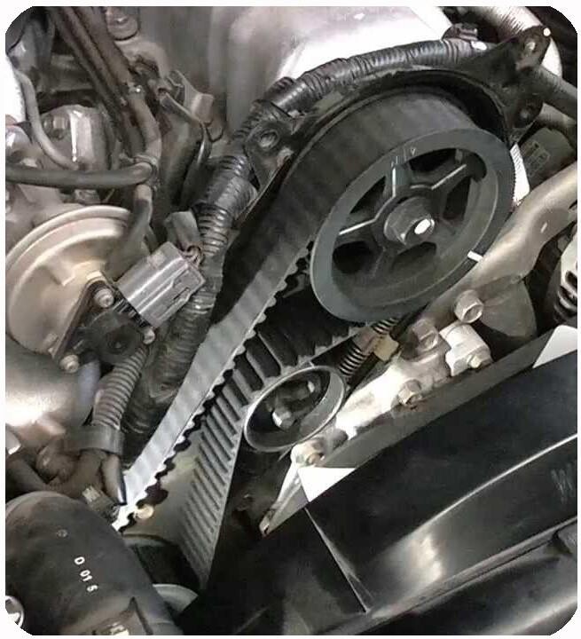 Correa dentada de PU silicona