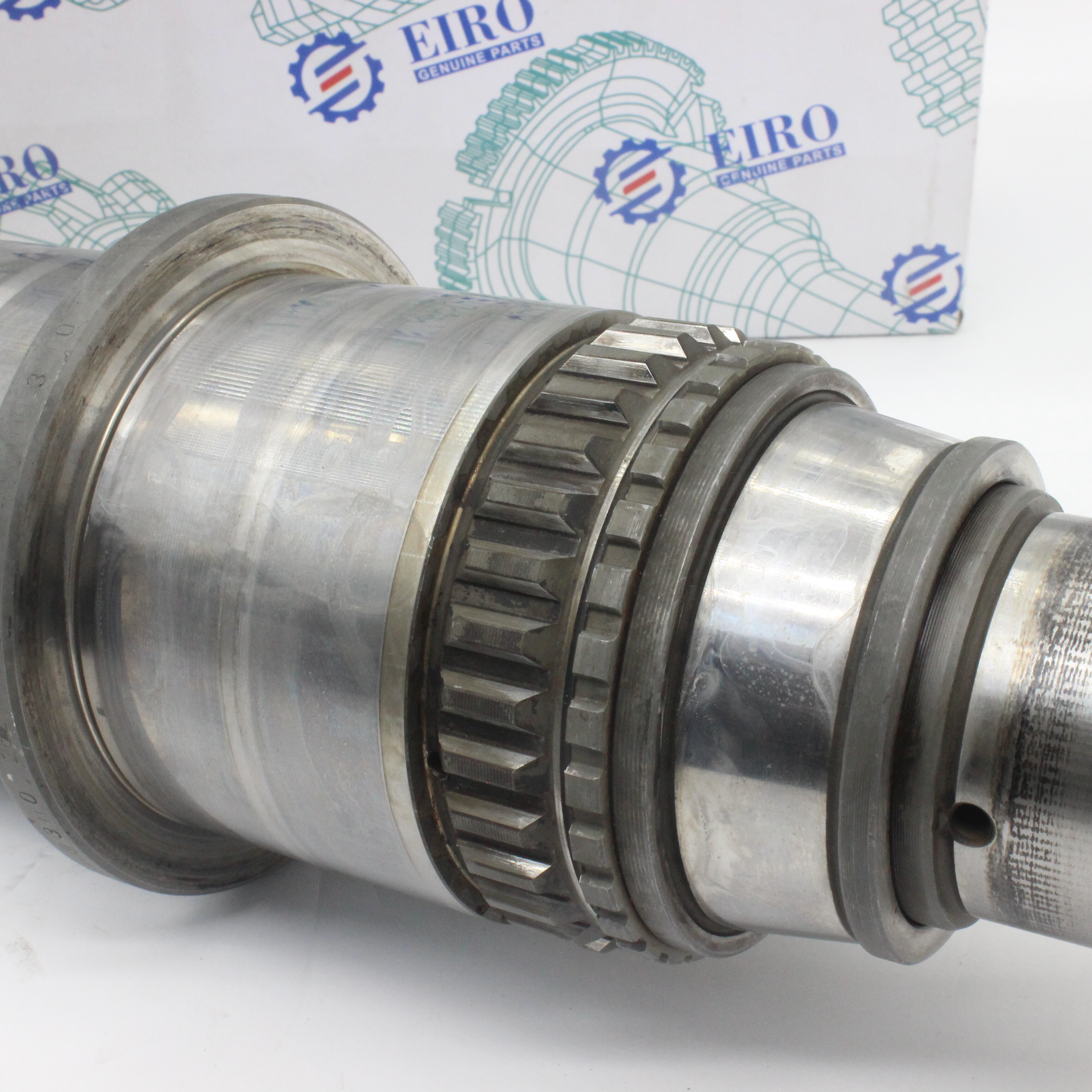 главная ось (в механике, оптике, ботанике и т.д.)