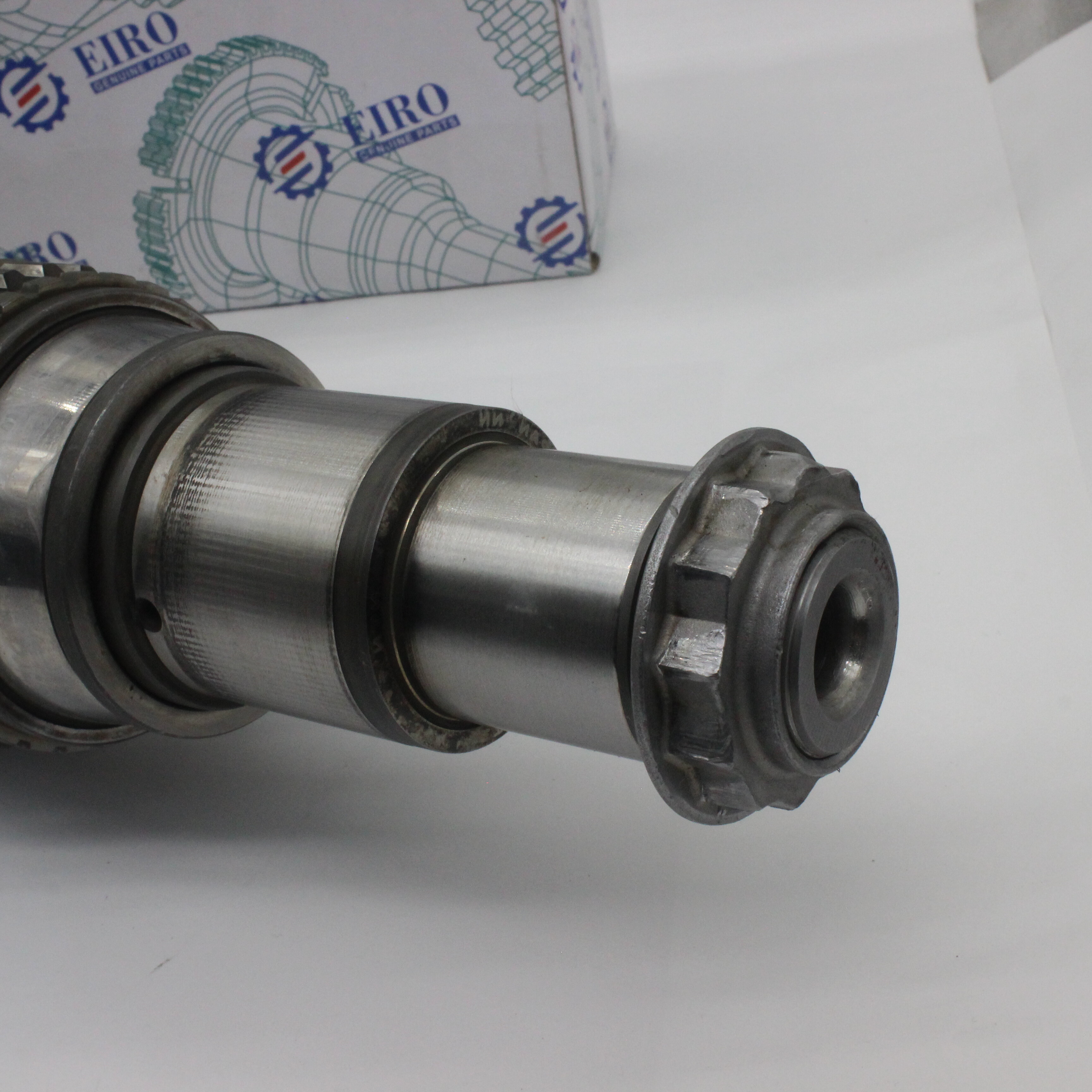 главная ось (в механике, оптике, ботанике и т.д.)