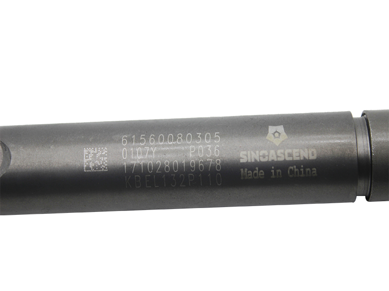 Топливная форсунка 61560080305