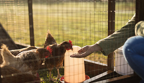 Qingdao Wojiang Industrial and Trade Co., Ltd. готов к производству!