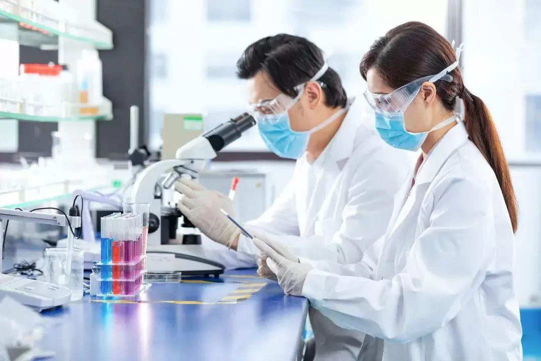 OA-316： 多种工业应用中的精密催化剂？