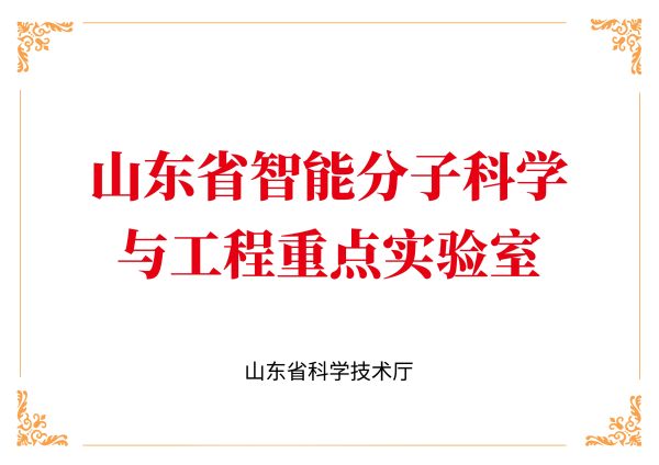 图片8