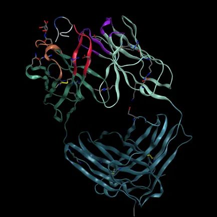 重磅推出！阿尔茨海默症诊断原料