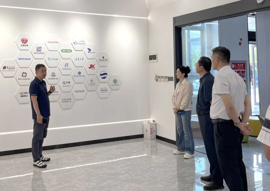 山东第一医科大学（山东省医学科学院）放射学院党委书记许锐一行莅临校友企业立菲生物考察交流