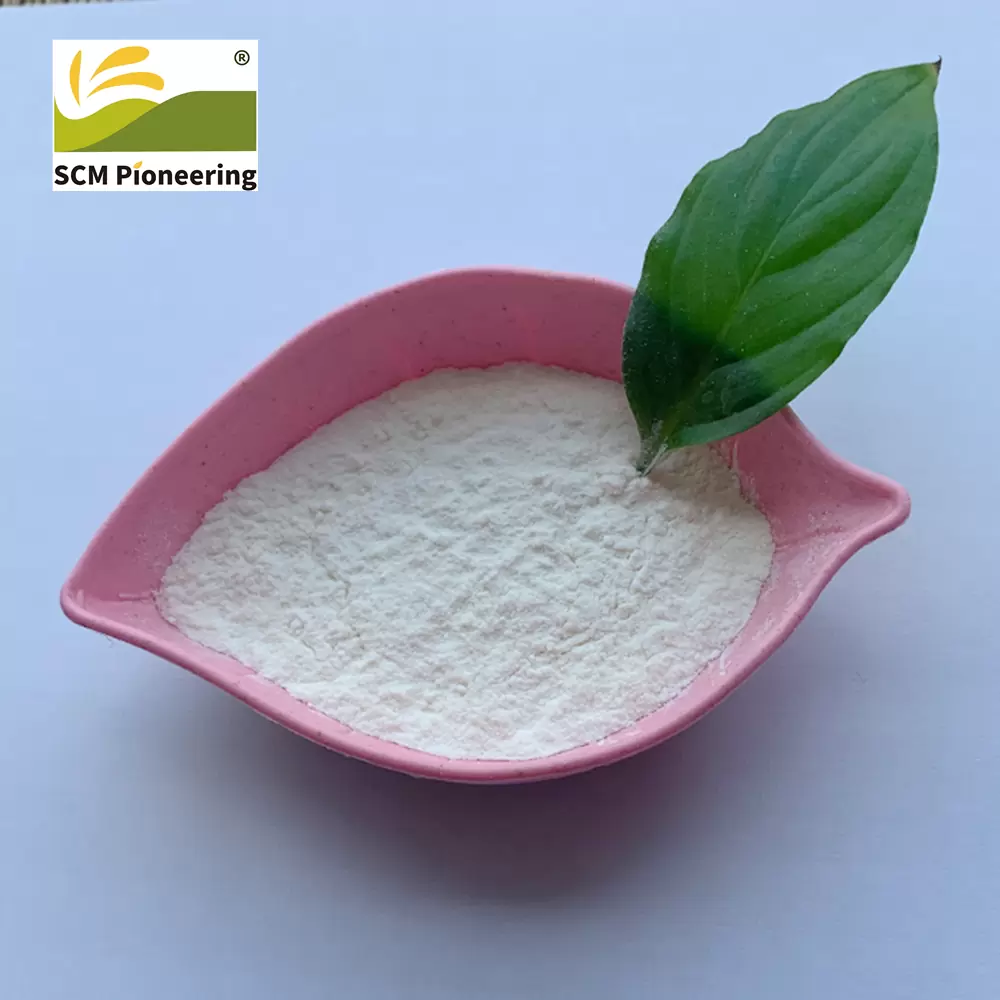 Food Sweeteners