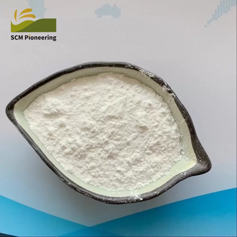 SCM Pioneering Facility