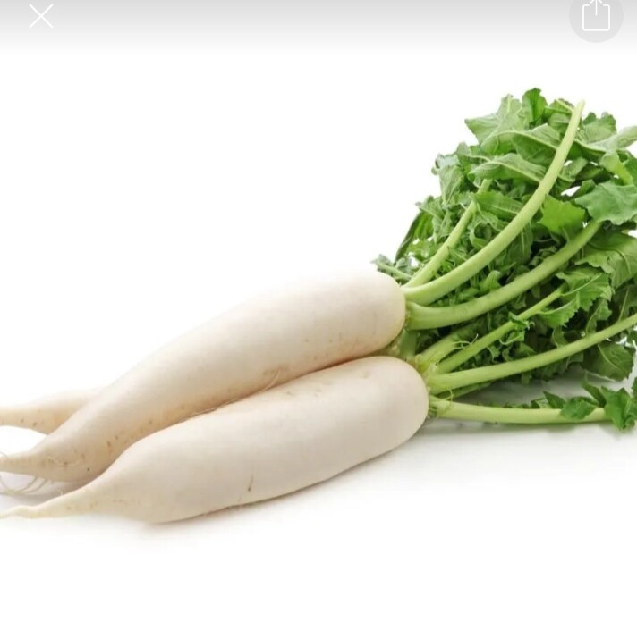 白萝卜
