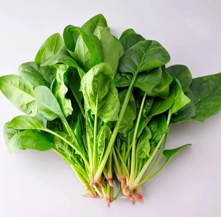 菠菜