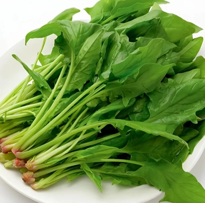 菠菜