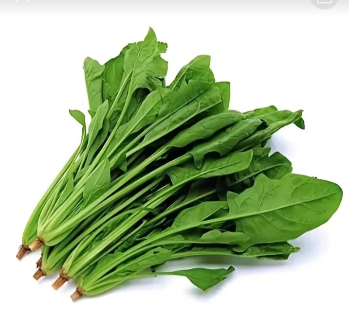 菠菜