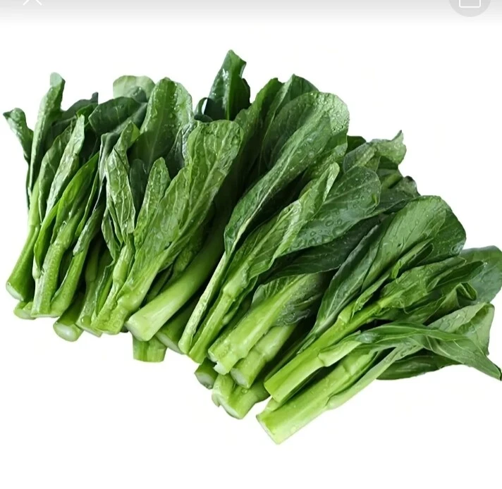 菜芯